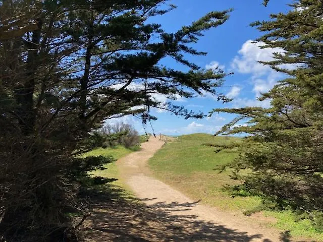 Dame De Monts Proche * Notre-Dame-de-Monts