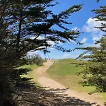 Dame De Monts Proche * Нотр-Дам-де-Мон